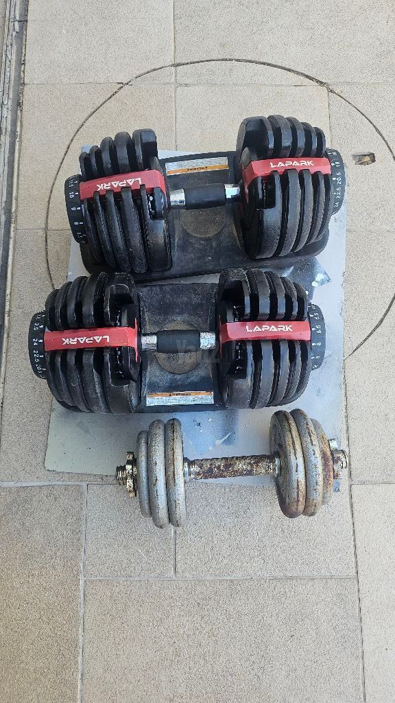משקולות