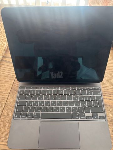 iPad Pro 13” M4 256GB Cellular