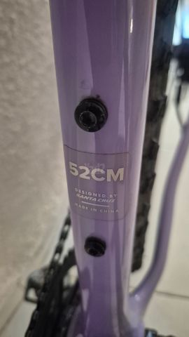 Santa Cruz Stigmata