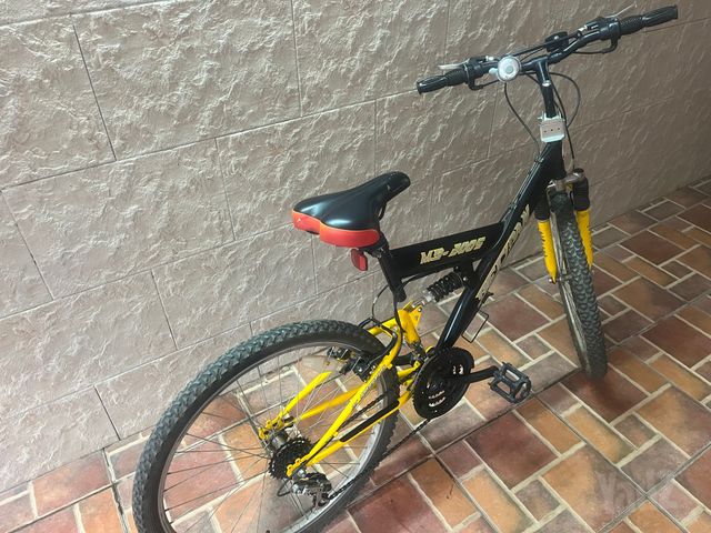אופני הרים 24"