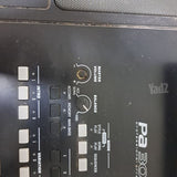 אורגנית korg PA 300