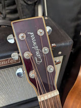 Tanglewood Evolution TSFCER