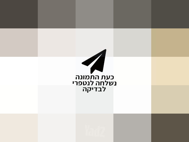 סוכה