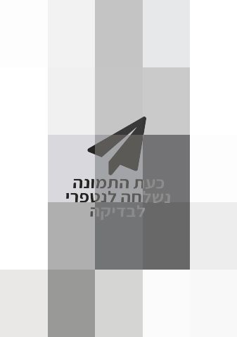 מולטי טריינר יורק conan pro