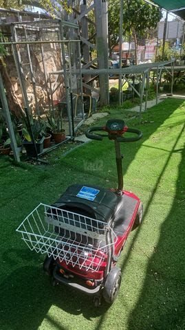 קלנועית
