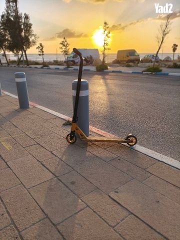 סקוט