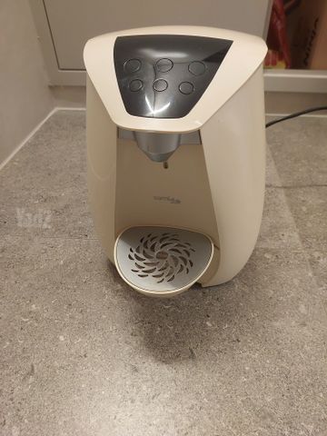 תמי בר מים