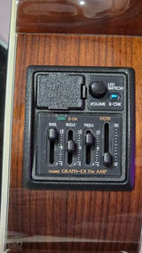Takamine LTD-2001 Dolphins