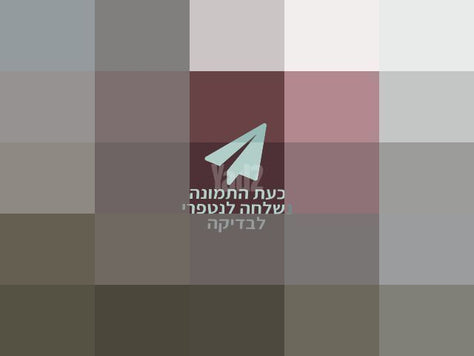 מצלמת קנון 185