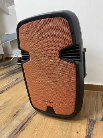 בידורית Pure Acoustics 12