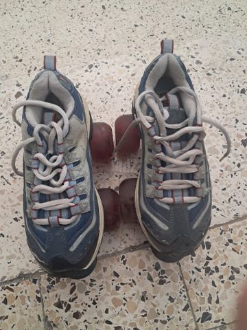 גלגיליות של Skechers