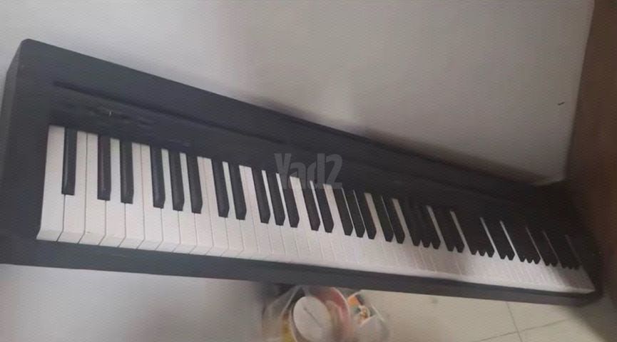 אורגן