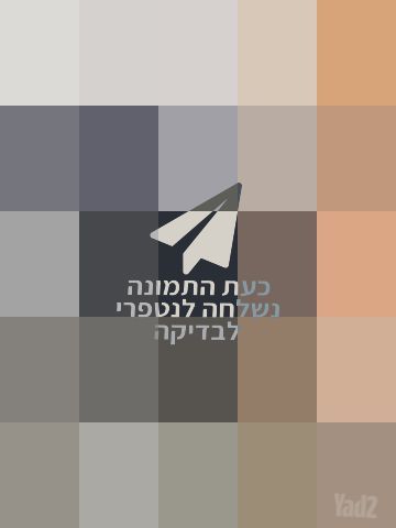 דונה +