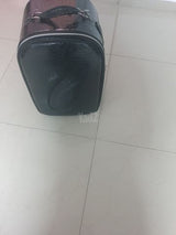 תיק לפאה