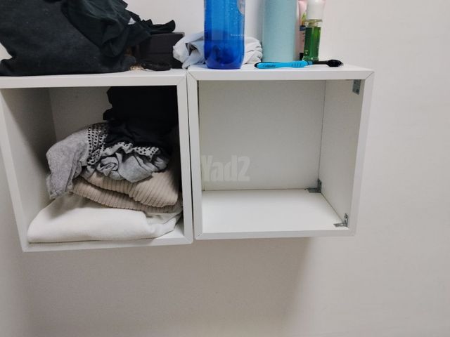 כוורת