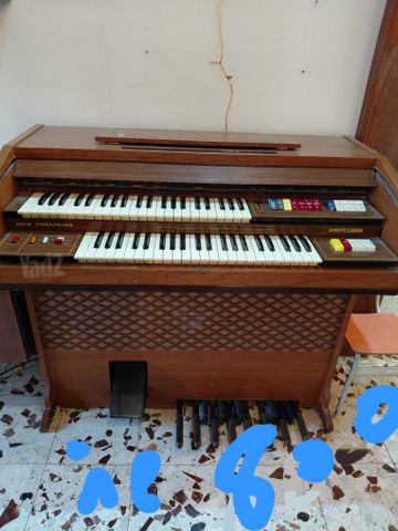 אורגן