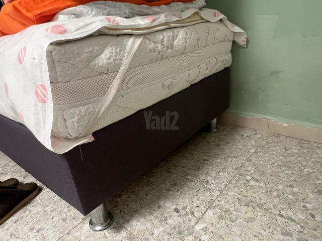מיטה