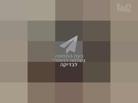 קסדה מקצועית לרכיבה