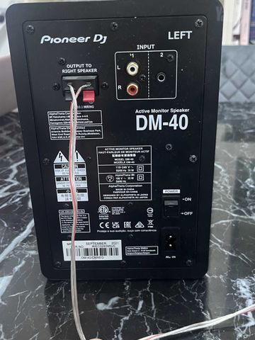 Pioneer DM-40