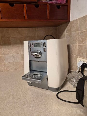תמי 4 שנת 2021