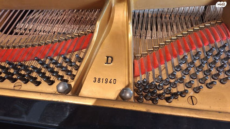 Steinway D hamburg פסנתר כנף
