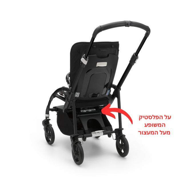 שלדה