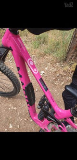 Marin Alpine Trail XR enduro