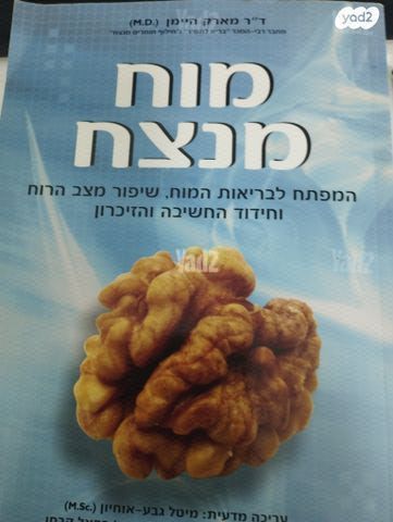 מוח מנצח