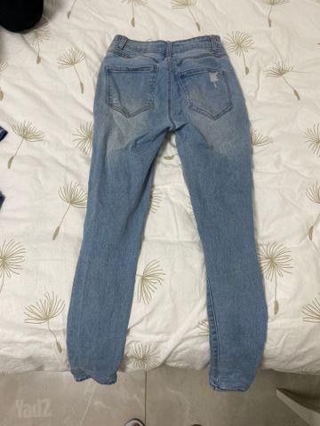 גינסים
