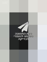פראק 100% צמר בגיר