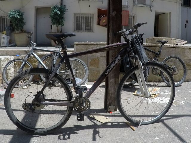 אופנים
