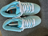 Nike dunk low SB Club 58