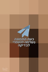 גיטרה