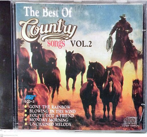The Best of The Country Songs