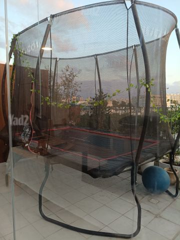 טרמפולינה