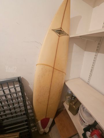 גלשן