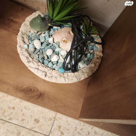 מזרקת מים