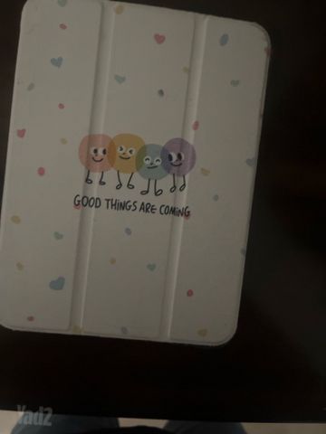 ‏ה-iPad mini ו-iPad Pro