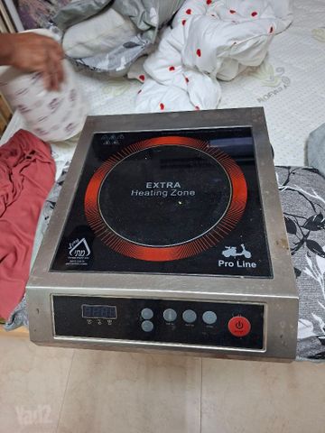 פלטה