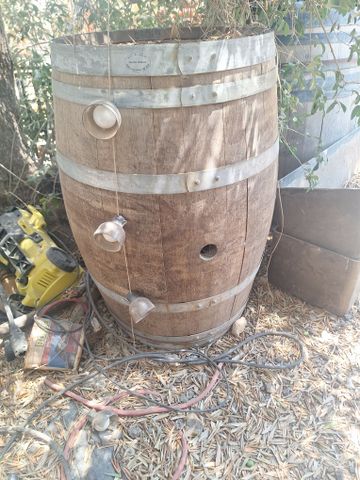 חבית יין
