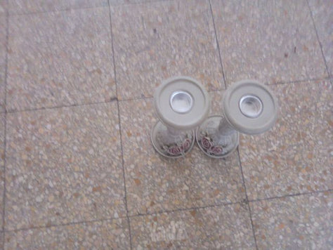 פמוטים