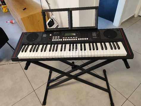 אורגן Roland E-X10