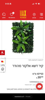 סנטטי
