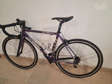 חדשות Cinelli Vigorelli