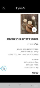 כלי נוי/דקורציה