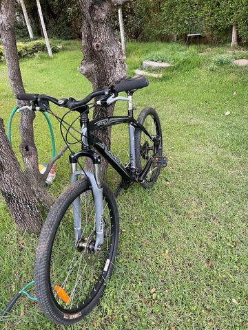 אופני specialized 26