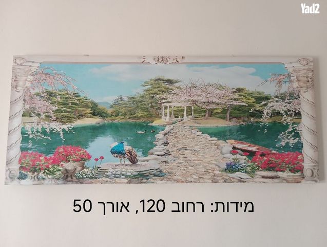 תמונת קיר