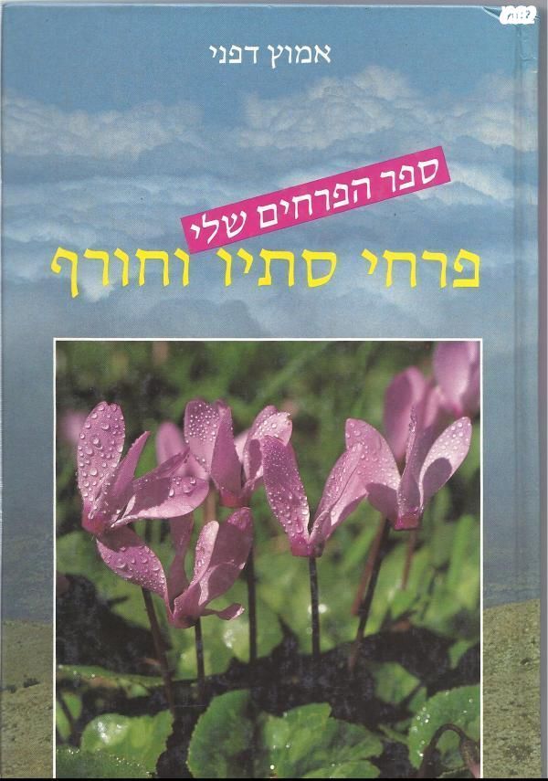 פרחי סתיו וחורף