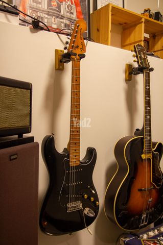 Fender Stratocaster 1979 vin