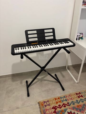 אורגנית